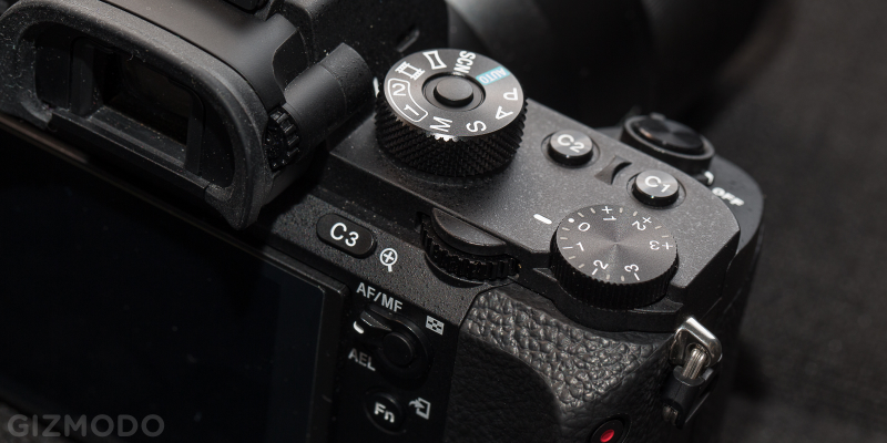 Illustration for article titled Sony A7R Mark IIÂ Review: A Beautiful Dream That Ends In Tears